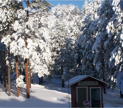 Charlotte Mason Educational Retreat