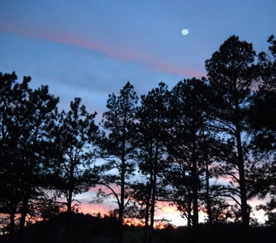 Charlotte Mason Educational Retreat