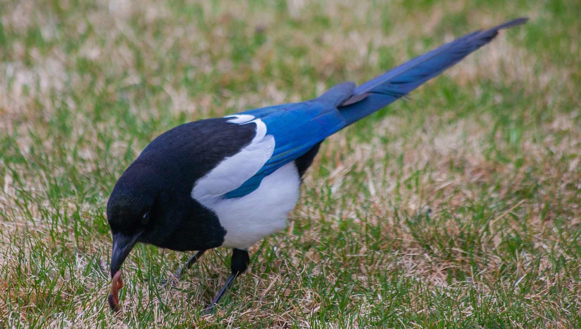 Charlotte Mason Educational Retreat